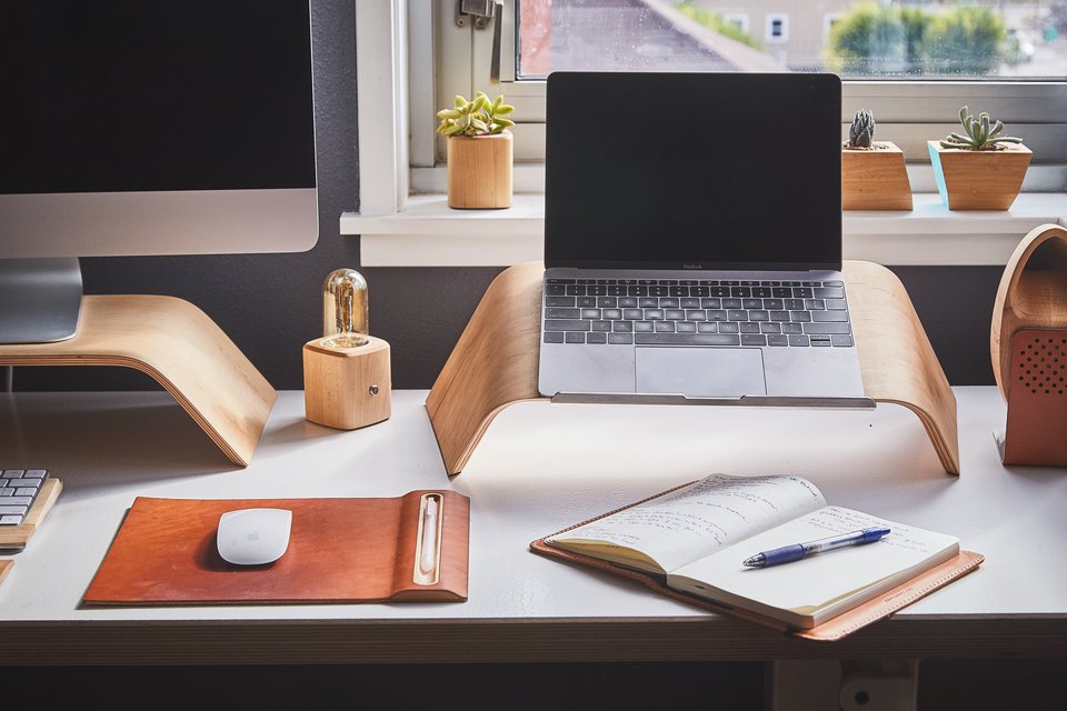 desk laptop plant